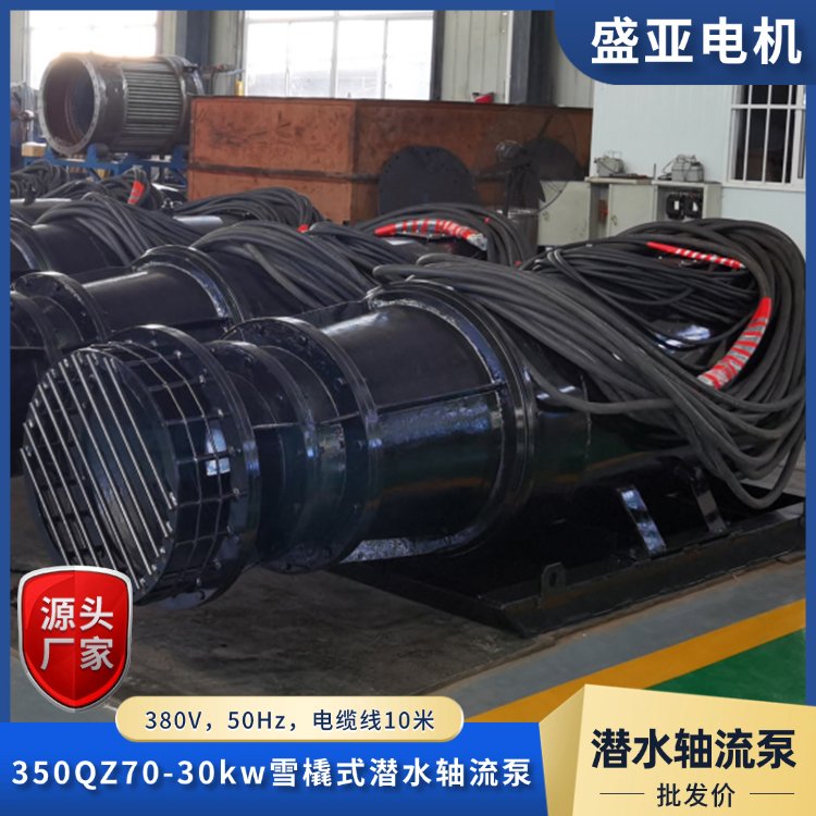 雪橇式潜水轴流泵350Q...