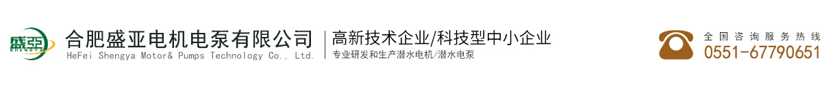 合肥盛亚电机电泵有限公司